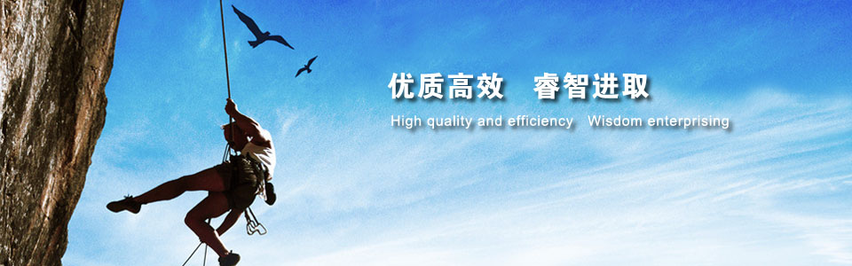 德國曼柴油發(fā)電機(jī)組